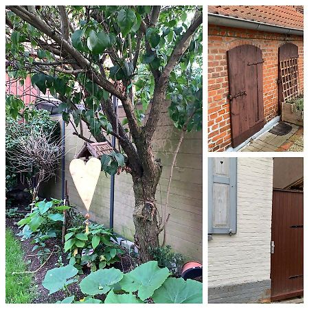 Ferienhaus Liebenswert An Der St Stephan Kirche Tangermuende Luaran gambar